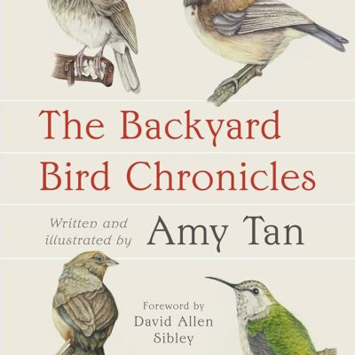 The Backyard Bird Chronicles by Amy Tan picture