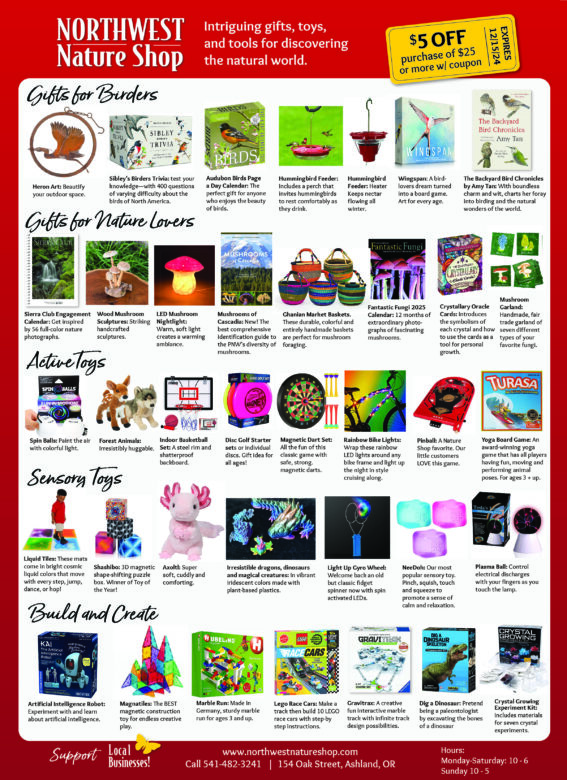 Holiday Gift Guide 2024