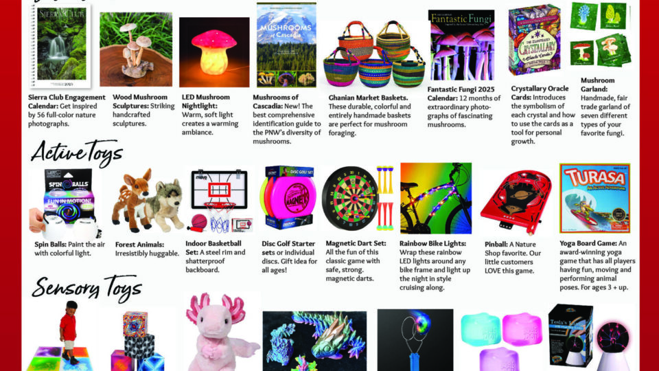 Holiday Gift Guide 2024