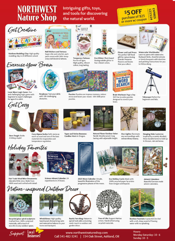 Holiday Gift Guide 2024