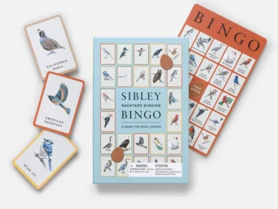 Sibley Backyard Birding Bingo picture