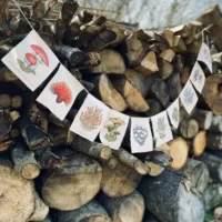 Mushroom prayer flags