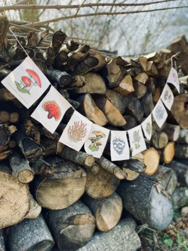 Mushroom prayer flags