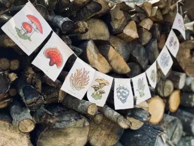 Mushroom prayer flags