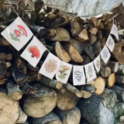 Mushroom prayer flags