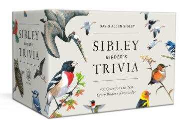 Sibley birder's trivia picture