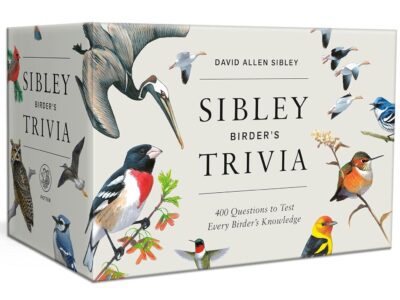 Sibley birder's trivia picture