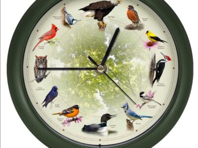 singing bird clock front