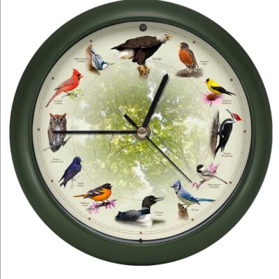 singing bird clock front