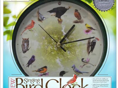 original singing bird clock 13 inch