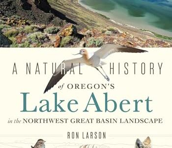 Lake Abert book image