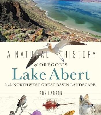 Lake Abert book image