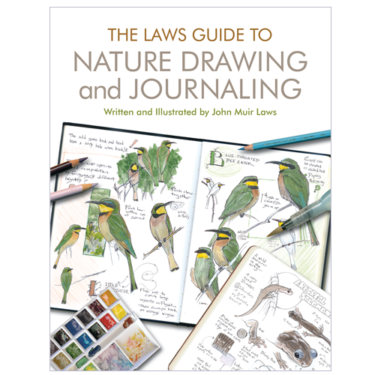 Laws guide to nature drawing and journaling