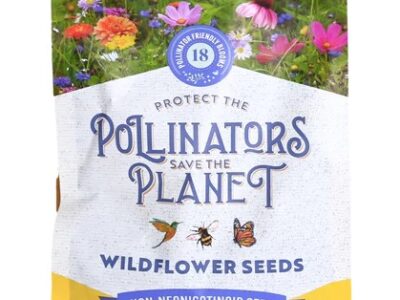 Wildlfower Seeds for Pollinators at Northwest Nature Shop Ashland Oregon
