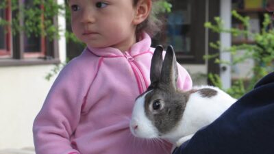 Rabbits are Coming to NW Nature Shop in Ashland Saturday April 12, 2025