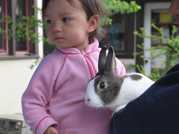 Rabbits are Coming to NW Nature Shop in Ashland Saturday April 12, 2025