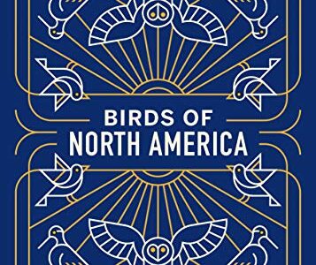 birds of north america playing cards