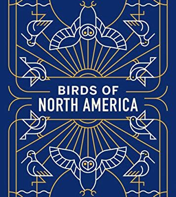 birds of north america playing cards