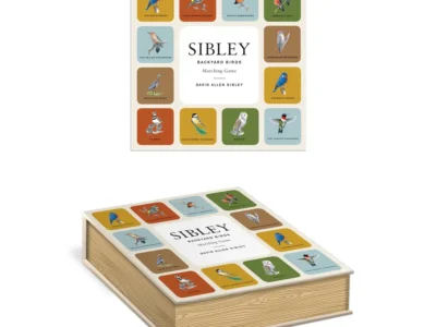 sibley-backyard-birds-matching-game
