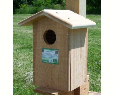 Screech owl house