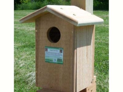 Screech owl house