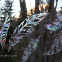 feathers window gems gallery