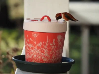 insulated hummingbird feeder