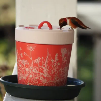 insulated hummingbird feeder
