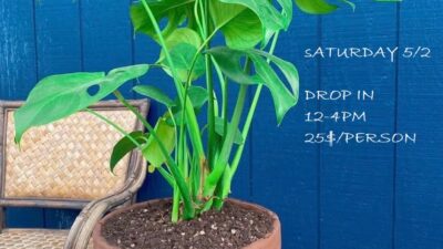Ceramic Workshop Saturday May 2nd 12-4 pm