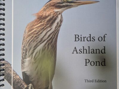 Birds of Ashland Pond - Dale Fisher